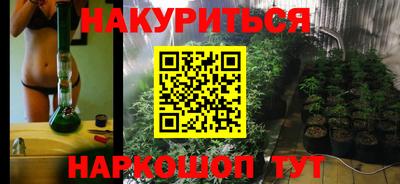 шишки Коммунар