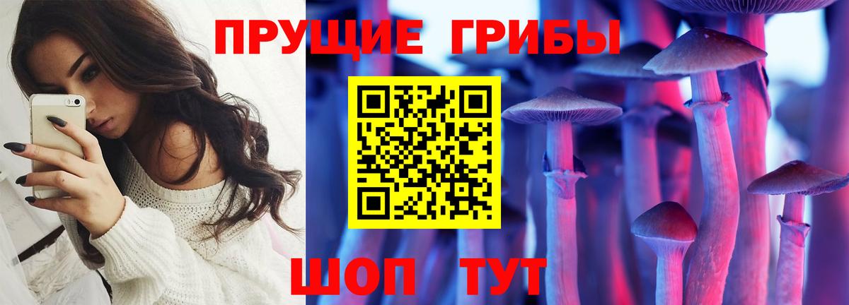 Галлюциногенные грибы прущие грибы Кимовск